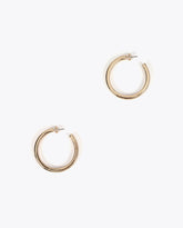Small Hoop Earrings
