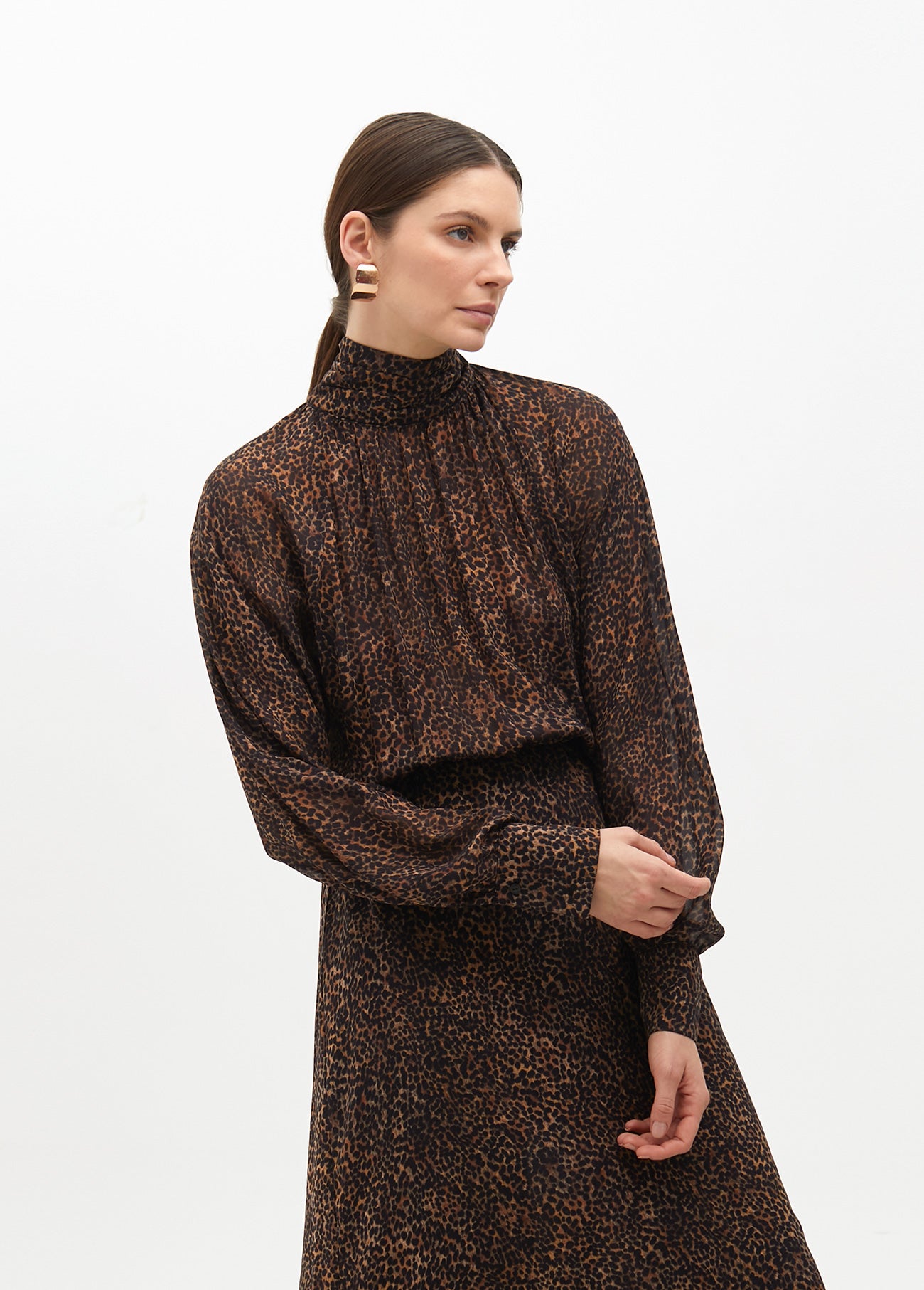 Animal Print High Neck Dress